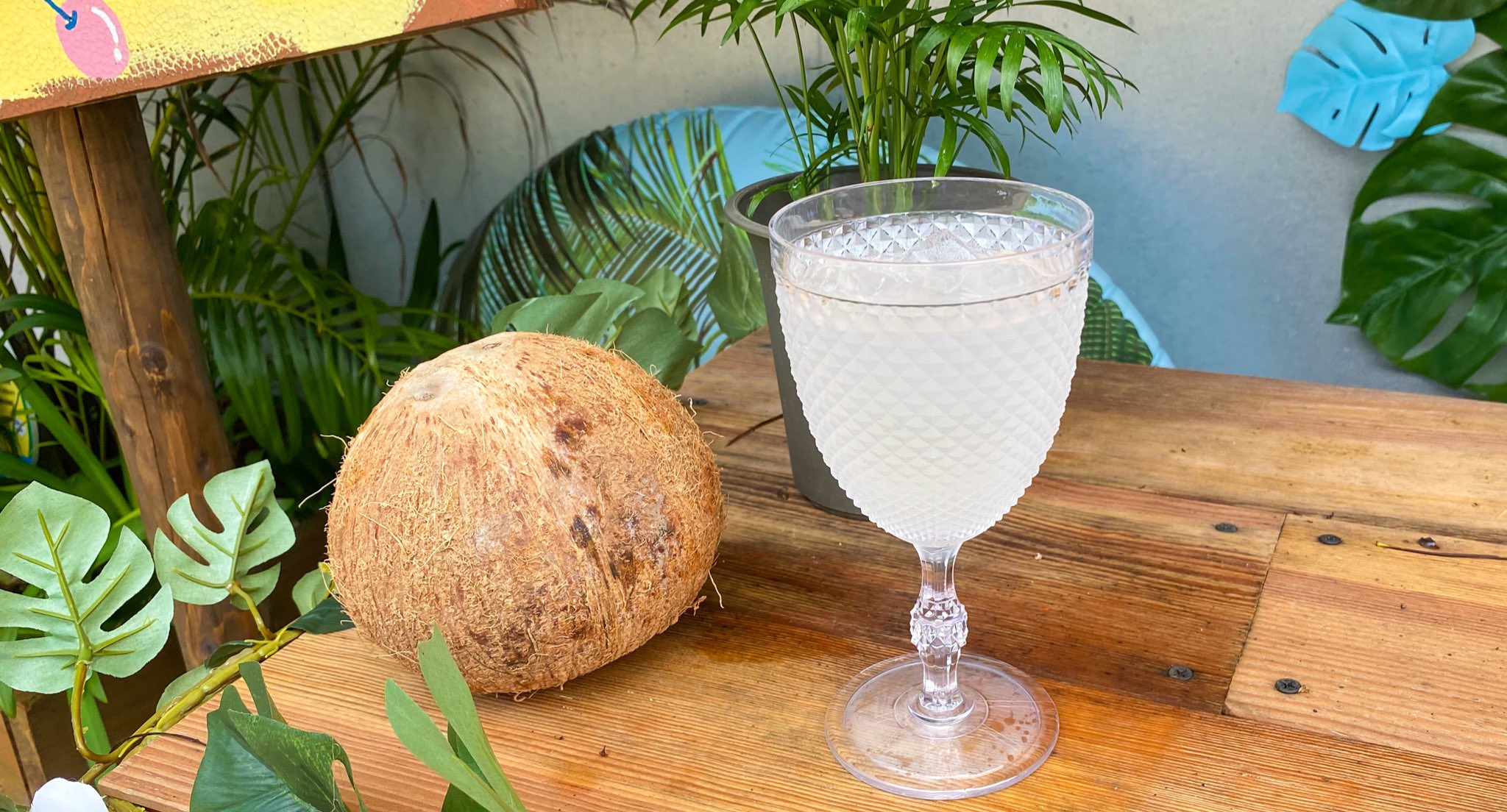 日比谷花壇大船フラワーセンター 公式 暑 い日が続きますね カフェにて限定ドリンク販売中です ヤシの実ジュース ヤシ の実に入ってる水分をほぼそのまま楽しめるんだとか 園にはヤシも植っておりますので是非ご覧になってから 味も確かめてみて