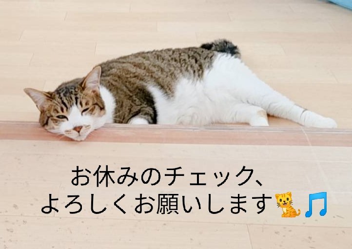 保護猫カフェ 猫ホテル ねこんチ Nekonchi Twitter