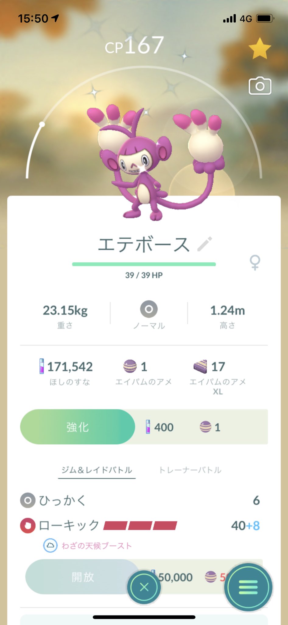 凛 Go Festはこれだけ W 色違い ポケモン ポケモンgo 色違いポケモン エイパム エテボース 色違いエイパム 色違いエテボース T Co Mwmpnkutji Twitter