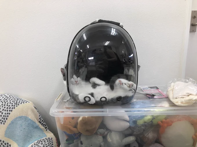 そこ好きね、 