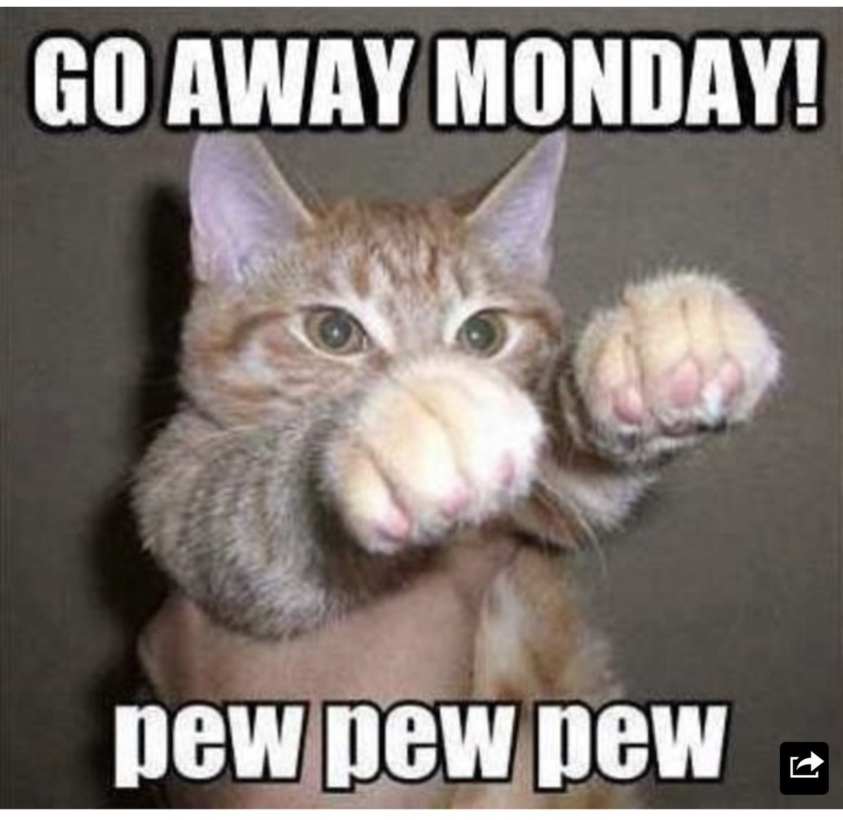 Rosievix's tweet photo. Thank GOD this is only once a week … 😫
#MondayMorning#MondayMotivation #MondayMoanday https://t.co/zGiEt6hXDm