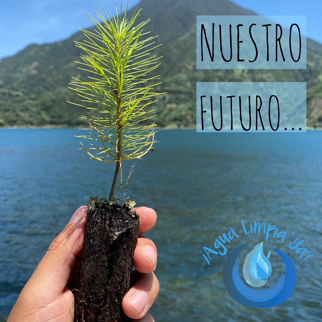 Agua Limpia Ya tweet media