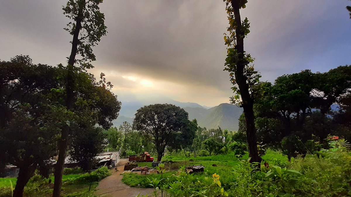 🌸

#naturephotography #nature #photography #photooftheday #naturelovers #travel #love #instagood #photo #landscape #travelphotography #picoftheday #instagram #beautiful #ig #photographer #landscapephotography #wildlife #art #sunset #like #bhfyp #naturelover #follow #photoshoot