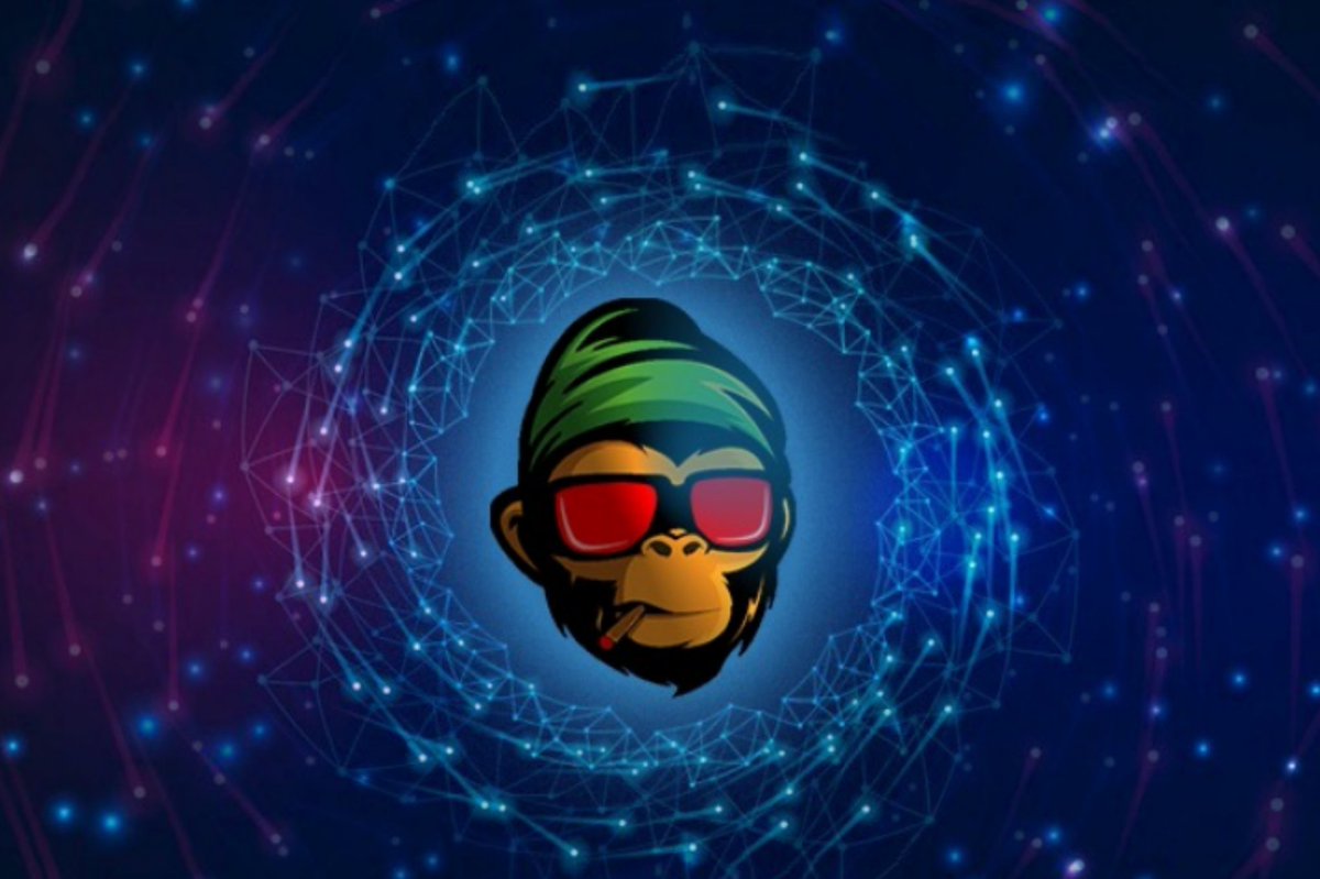 crypto LADY tweet media
