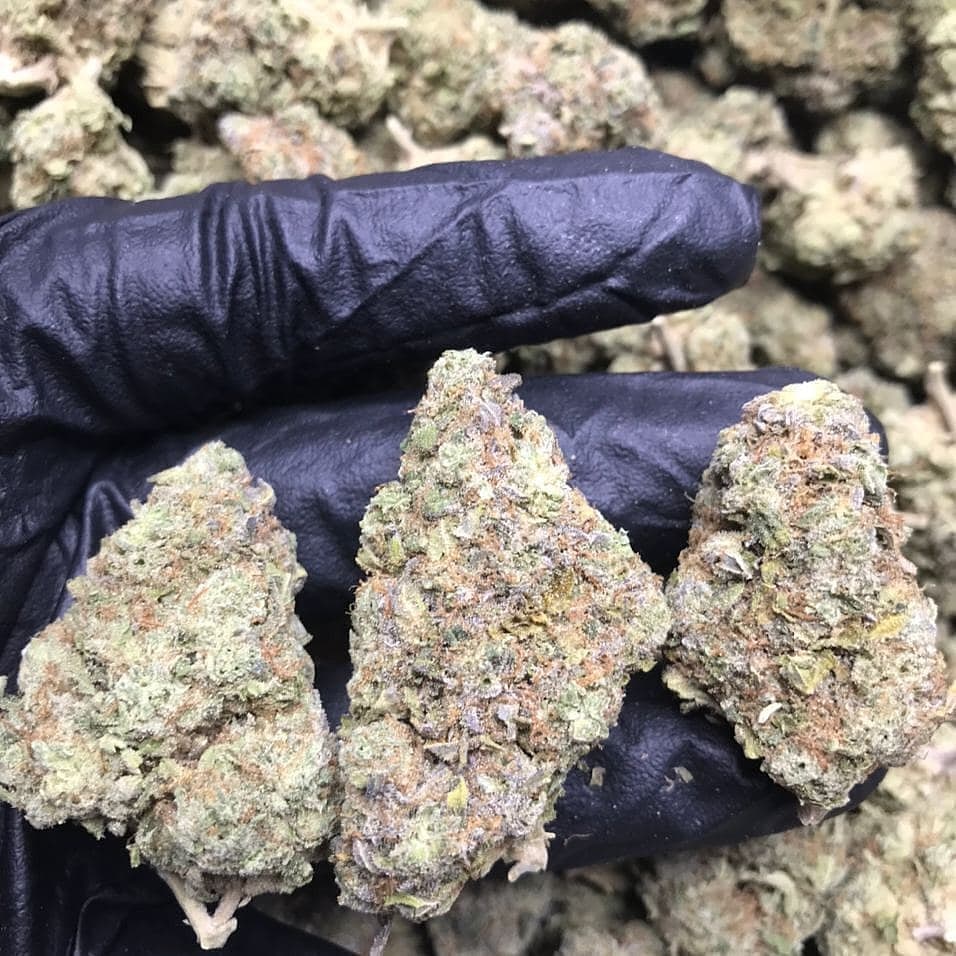 4Growe's tweet image. 