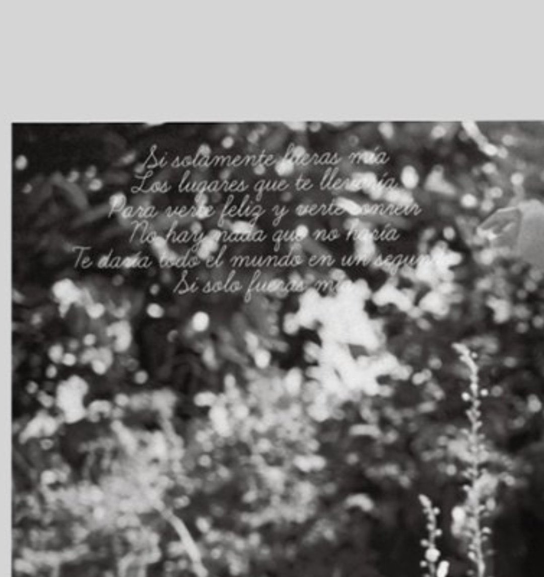 THE SPANISH LYRICS “if you only were mine, the places I would take you to see you happy and see you smile there’s nothing I wouldn’t do, I would give you the whole world in a second If only you were mine” OH HE IS DOWN BAD YOUR HONOR