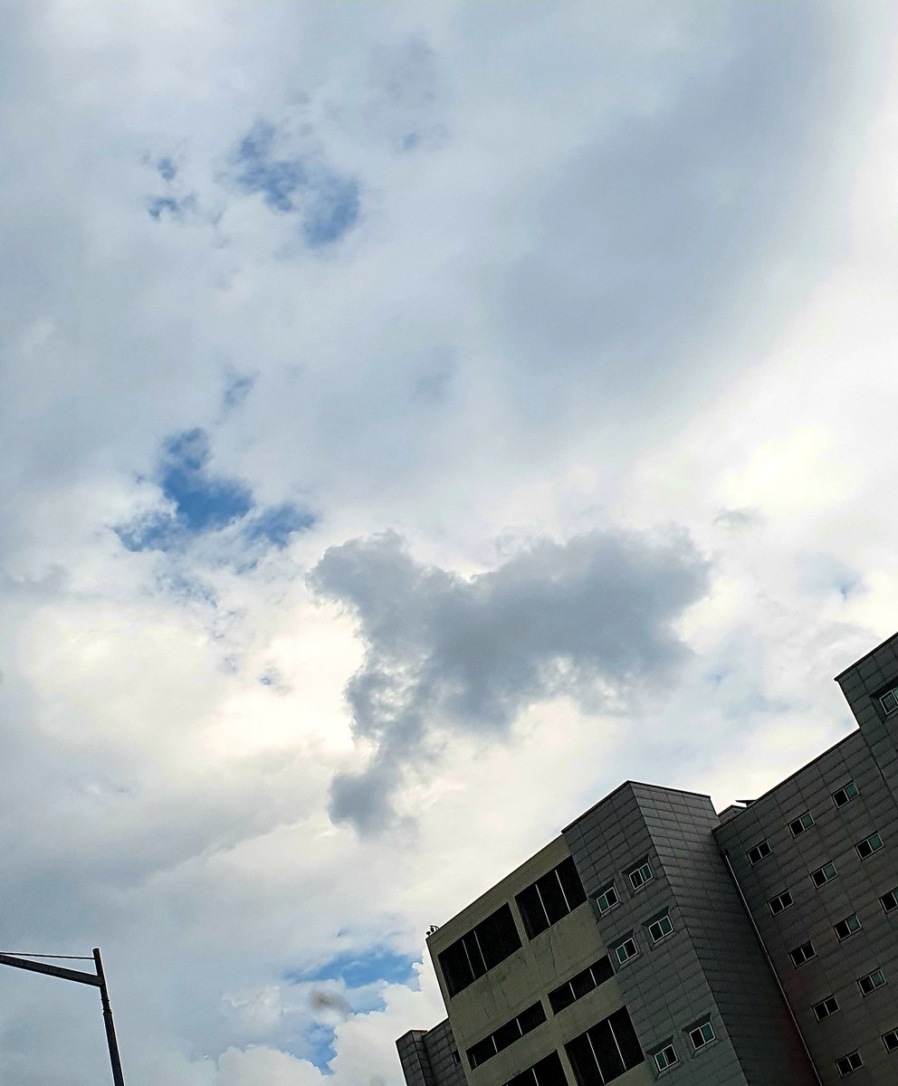 kimhs0927's tweet image. 범 내려온다