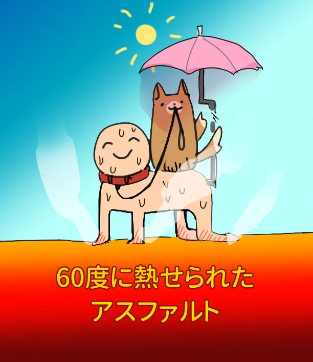 真夏の犬の散歩に注意！炎天下の時間帯は必ず避けて！