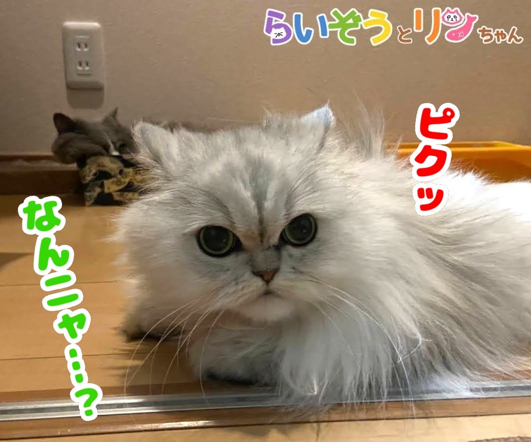 行徒 Yukit0o0 Twitter