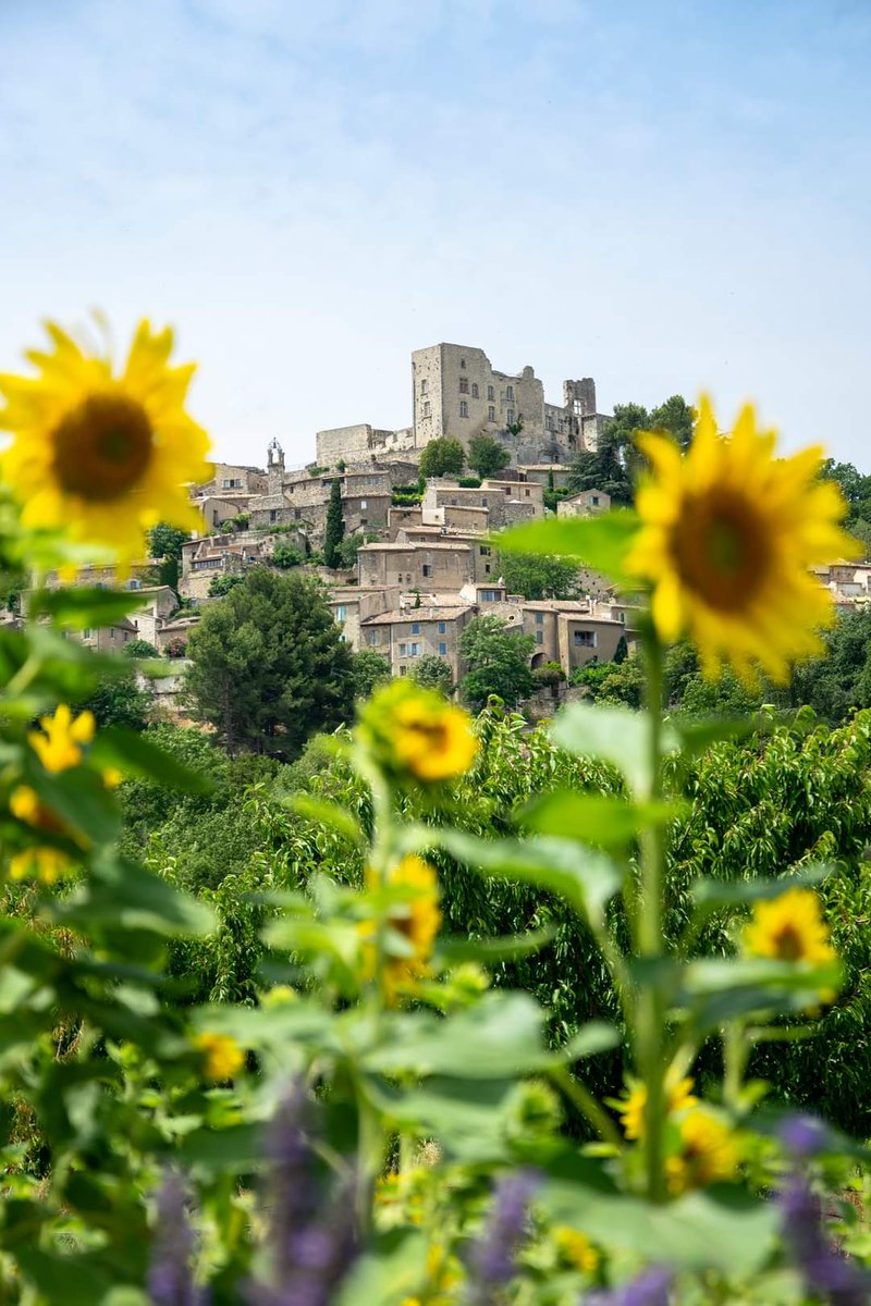otapt's tweet photo. Un lundi haut en couleur en Pays d'Apt Luberon 💜💛
#luberon #vacances #Ete2021 #Summer2021 #paysage #lavande #tournesol #lavandins #vue #provence #sud #tourisme #vaucluse https://t.co/DTemeq44v2