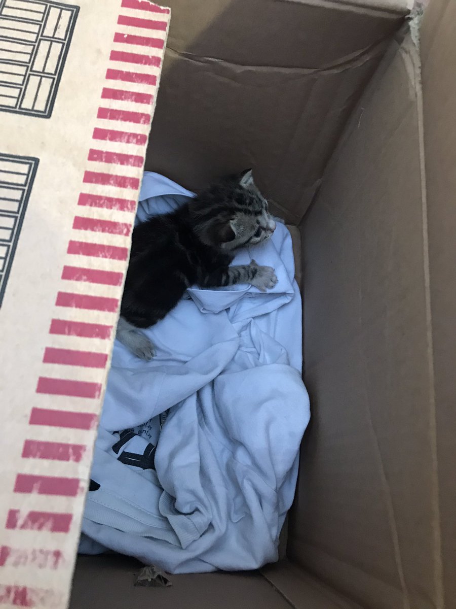 copcet's tweet image. gatau harus diapain :(