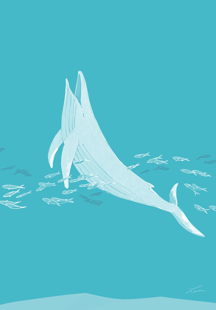 「白鯨 」|はるさめのイラスト