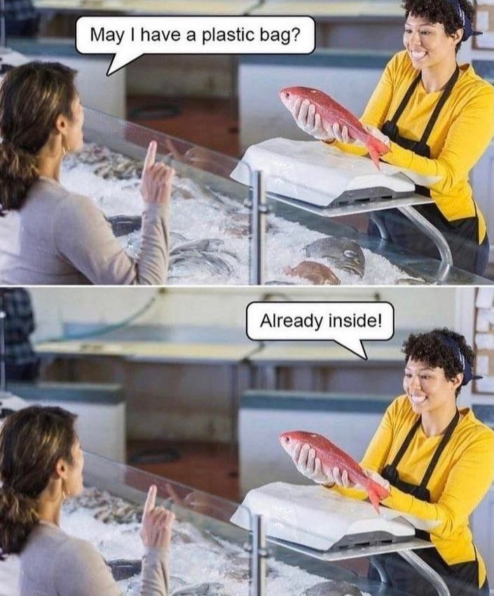 Go Vegan 🐟💚