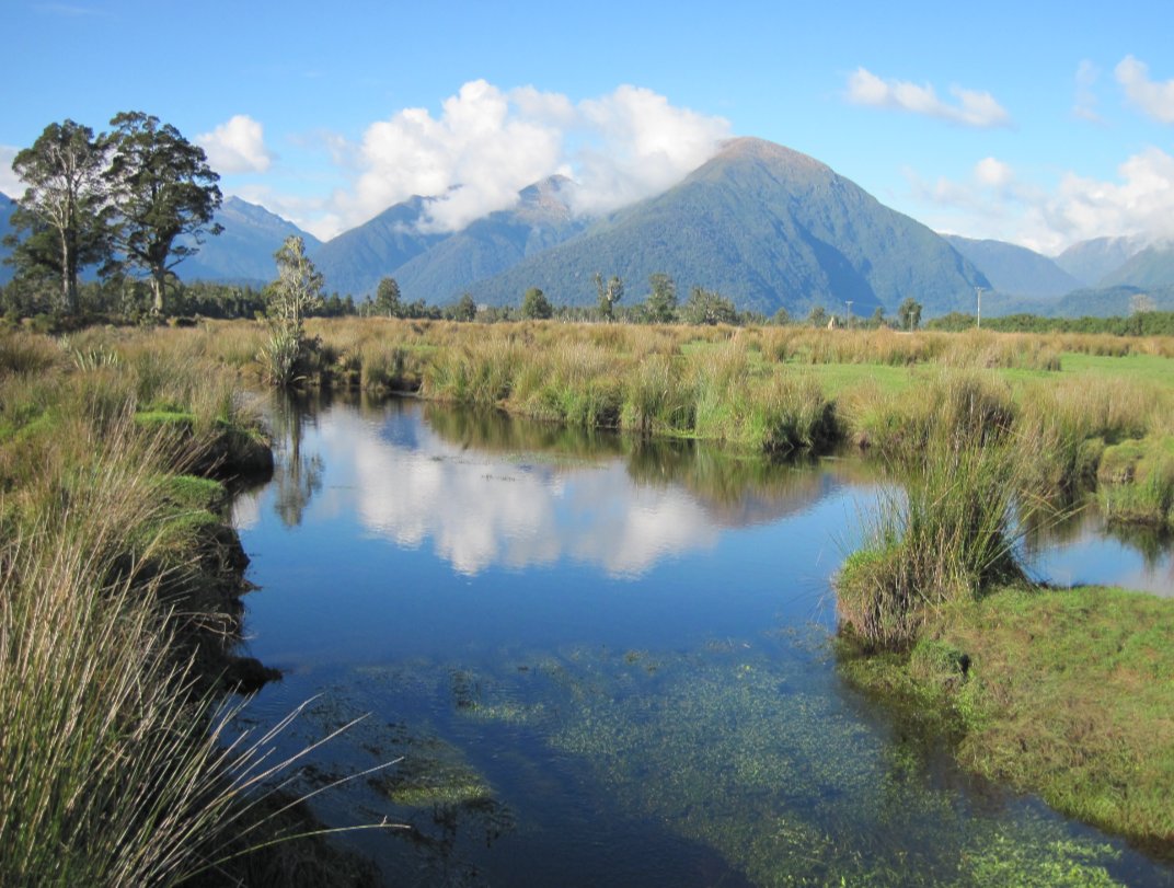 Journal of Applied Ecology tweet media