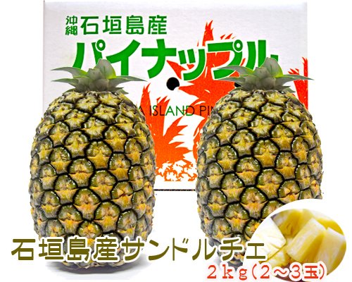 石垣島の果物 島野菜旬だより Sunishigaki Twitter