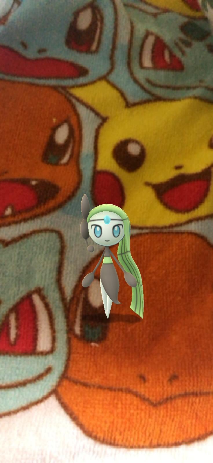 Sorahana みなみ 固定ツイお願いします ポケモンgo マナフィと フィオネの 実装はどうされたのでしょうか ハルカとかの方が世代の人多いのでは あとあと シェイミは 忘れられてるの メロエッタの世代ブラック少しかしてないけん わからんのん