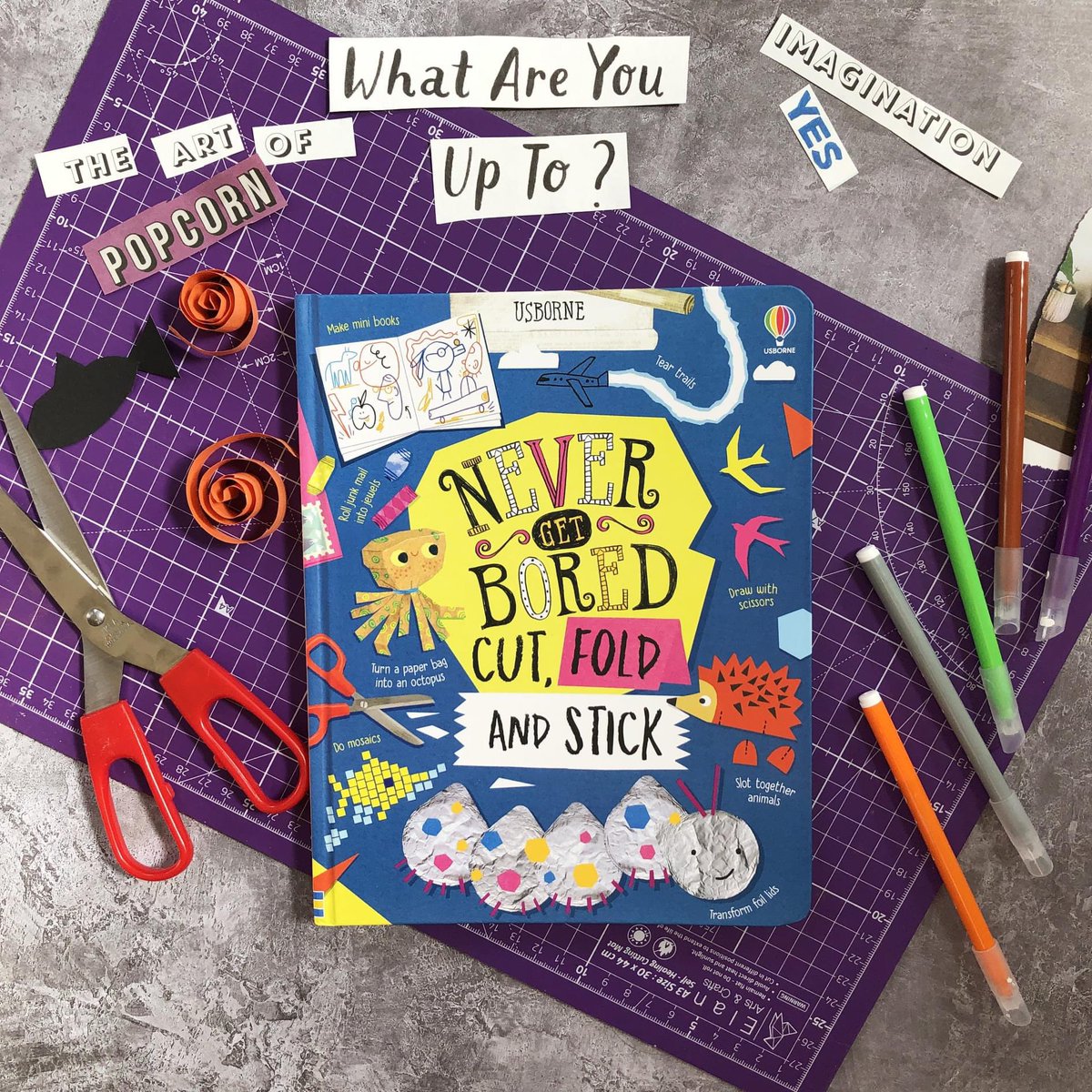 How do you turn old newspapers into trees that grow?
How do you transform junk mail into jewels?

Packed full of creative ideas, art projects, tricks and games makes this the ideal book for the summer holidays.

Find out more from my website: usborne.com/gb/never-get-b…