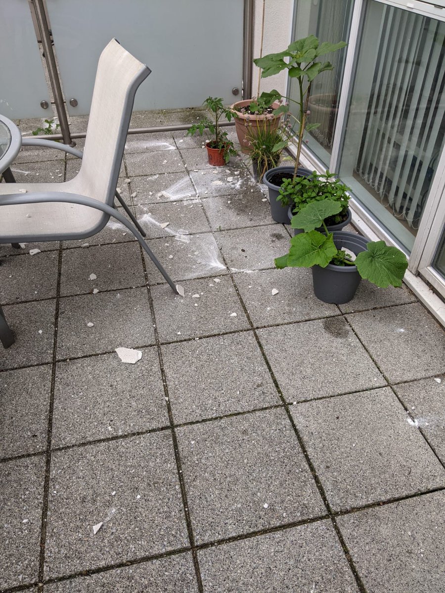 ndawesie's tweet photo. Hi @BNS_Management it's been 3 weeks since render from the 7th floor of Airpoint fell onto our 2nd floor balcony. Despite repeatedly contacting you about this issue, it has yet to be made safe and there's a dangerous amount of render still sat on the sun shade. Please respond. https://t.co/tHqtSgTSDS