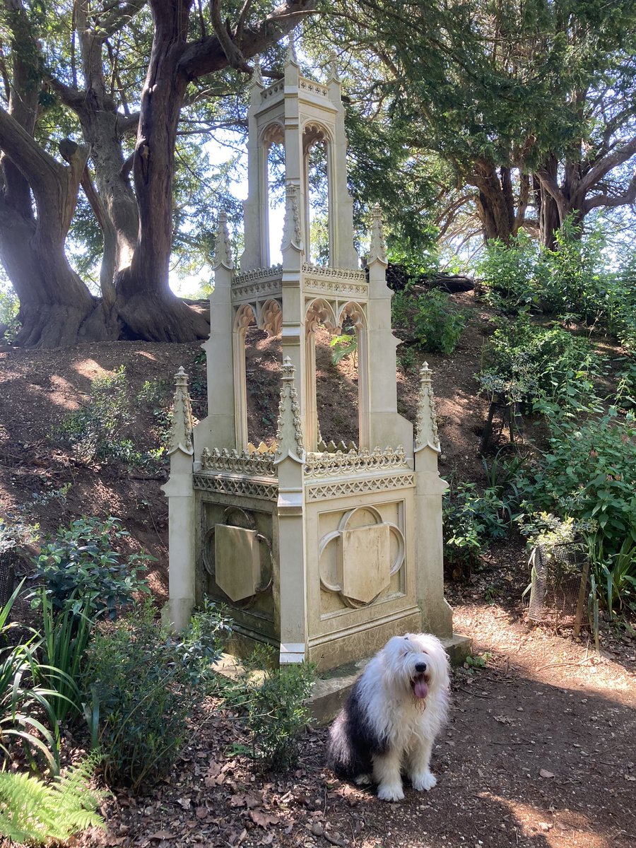 I found a fancy new kennel in the shade! Just need to add my coat of arms and it’s mine. 🛡🐶⚔️ #MonumentMonday