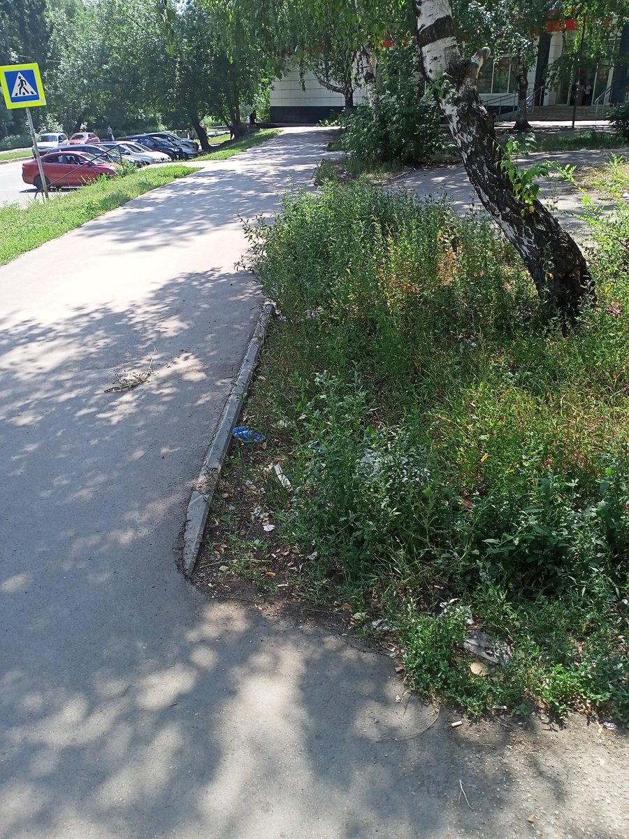 Светлана Лусис on Twitter: \"Косят траву там где ее нет( по земле,по ...