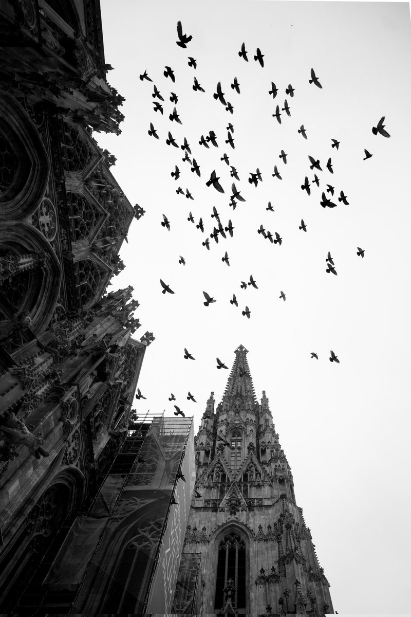 philipp_mberg's tweet photo. #Sightseeing in #Vienna. #blackandwhite https://t.co/dSd0kb3eZe