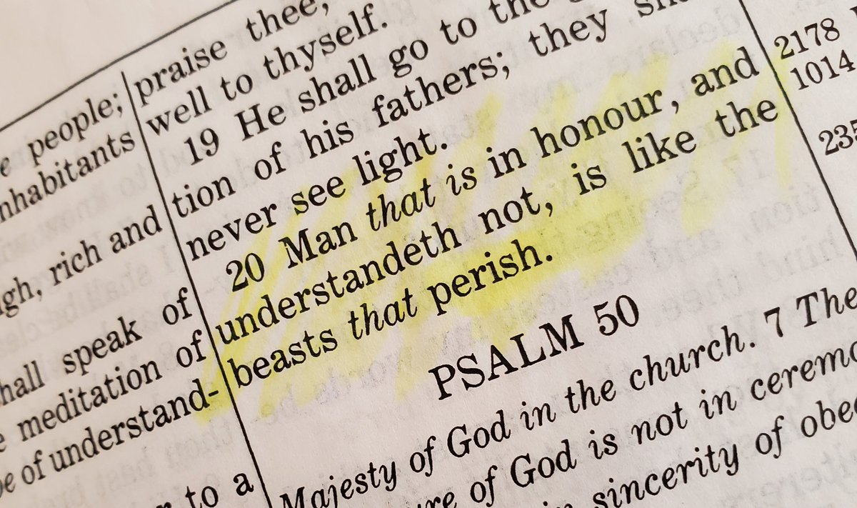 Psalm 49 is a reality check on temperal vs: eternal, earthly success vs: heavenly reward. Like Ps 73, it straightens the thinking to see the big picture. #peacewithGod