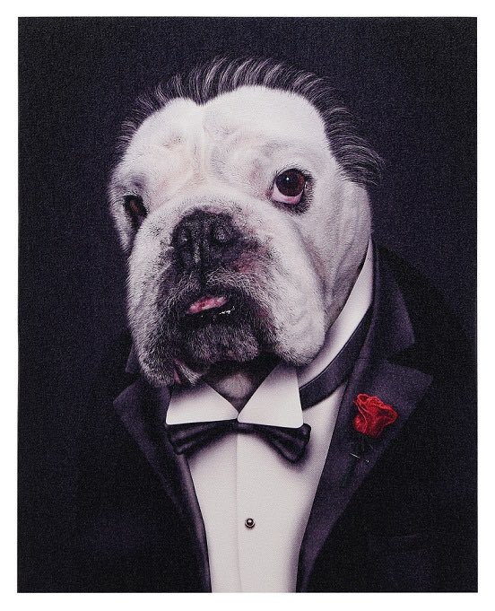 MrLennonsWorld's tweet photo. Wroooff .. buongiorno effurypawdy, goin to make you an espresso you can't refuse 📷 Dog Corleone ☕️
🐾🦴
@JuniorFarm3 @macwhittle @Vlooienbaalcom @MyFurryMurray @AndTimos @PaulAtk52540619 @ItsdaNorma1 @LeonbergerMax @troyrottweiler @chico_shelby @NouraChodskyPes @PrasunNagar https://t.co/KzUnK2hgZ7