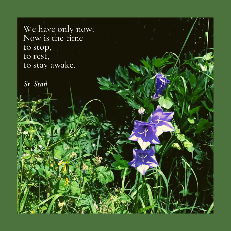 We have only now. Now is the time to stop, to rest, to stay awake ~ Sr. Stan

#mindfulmondays #thoughtfortheday #stayingawake #beingpresent #mindfulawareness