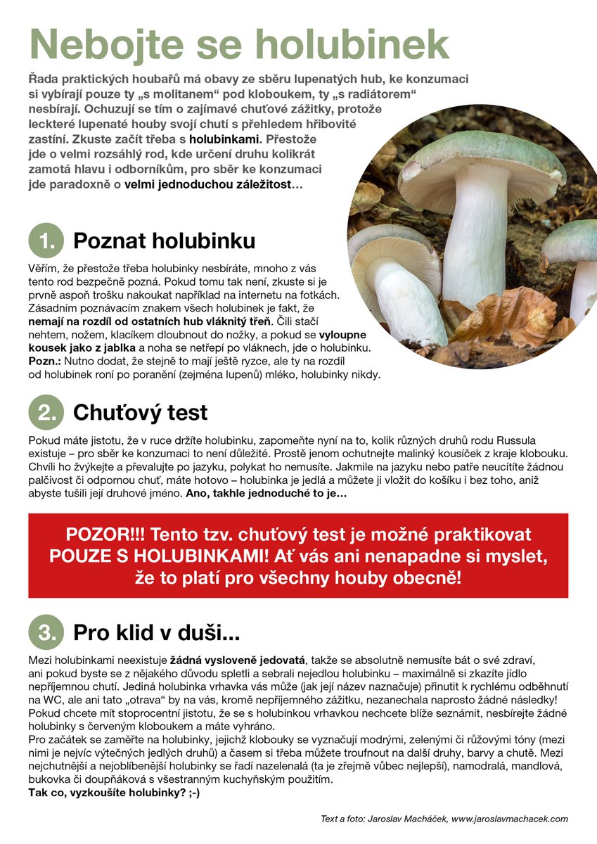 Jaroslav Macháček tweet media