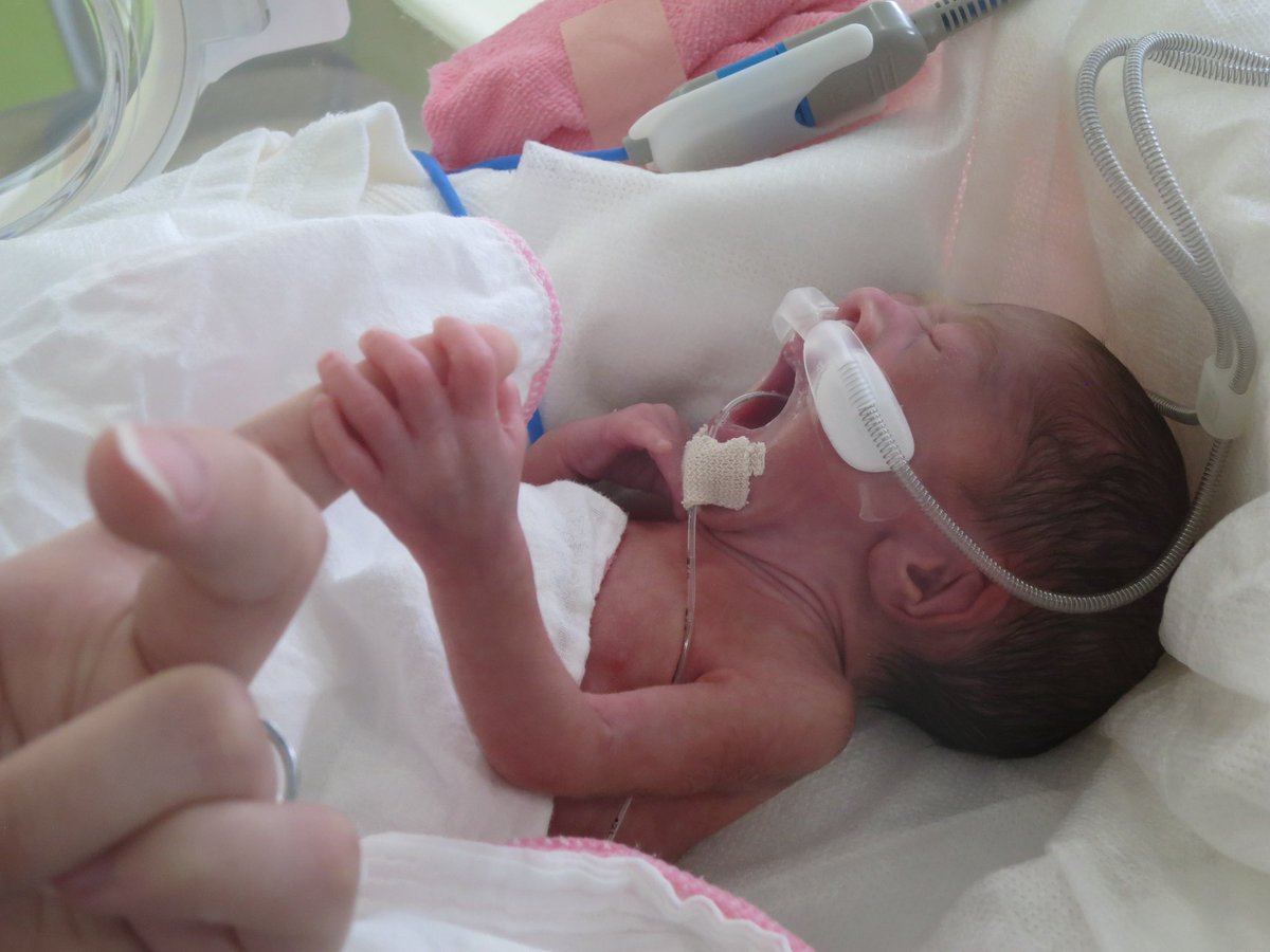 あやぷに tweet media