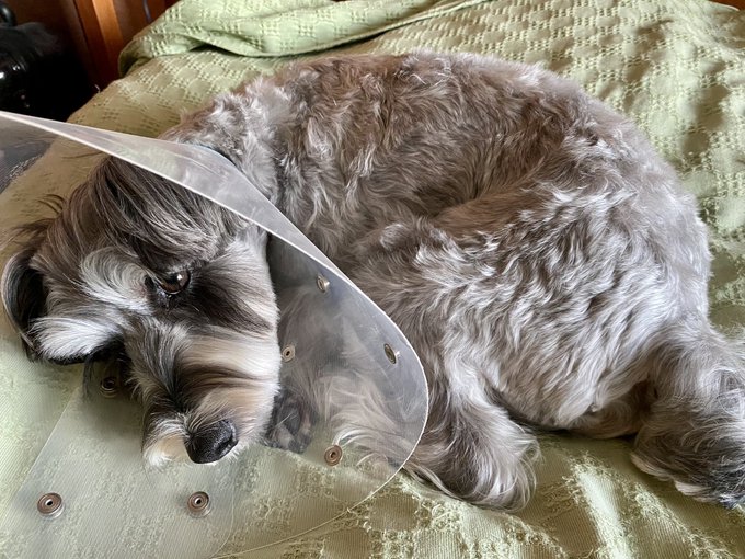 åž°å®
&ã·ã£ã¯ãŒã§ãµãããªðâš
ãã£ãã¡ããã¯ã¯ãŒã©ãŒããããéšå±ã§äžžãŸã£ãŠãŸãã
ãªããªãèªç±ã«åããªãããã€ãŸããªãã(ãËâ¢Îµâ¢Ëã)ðŠ