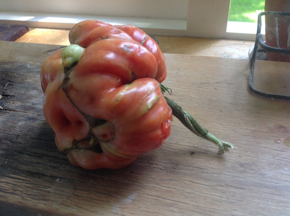 An overheated brain?