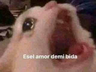 TogaTusa's tweet photo. @x9thOneForAllx — Al ver a su crush acercarse con el bento los ojitos le brillan, el corazón le late con fuerza y el estomago de gruñe, ya sean las mariposas de amor o el hambre de 3 días. —

¡Izuku! ¡Sigues siendo tan cool! https://t.co/YL4qEa5riL