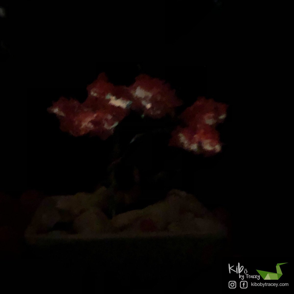 aussiestorm65's tweet photo. Lockdown 5.0 - Day 4
Creativity Project No. 1
Small wire tree with origami cranes. Approx 9cm in height and 7cm in width. All handmade!
#aussiestorm65 #kibōbytracey #lockdowncreativity #handmade #Origami #Geelong https://t.co/ozPTzpdV7E