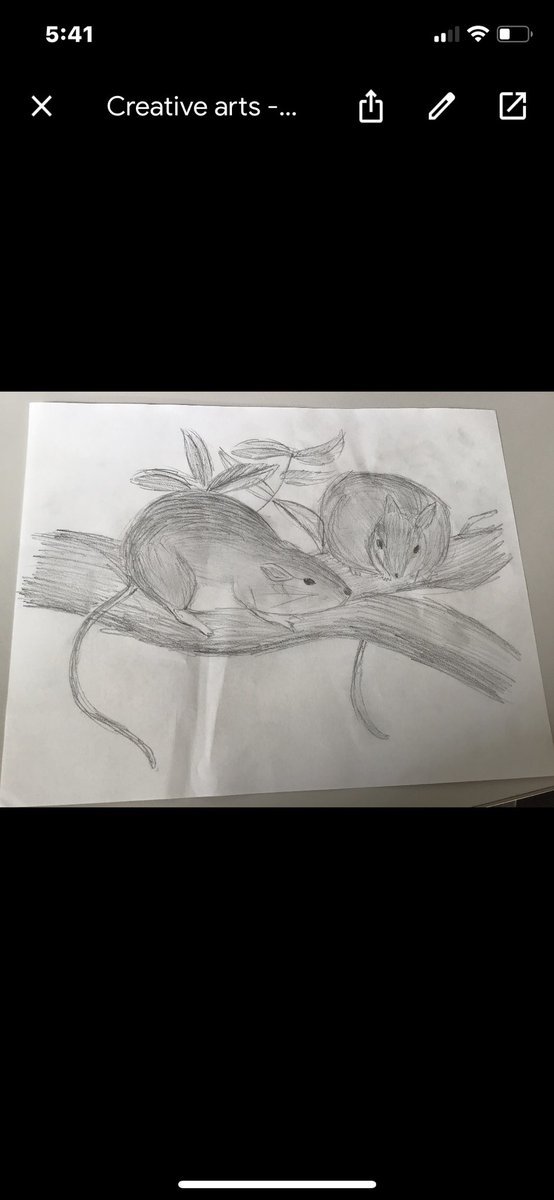 Kaylee Nolan tweet media