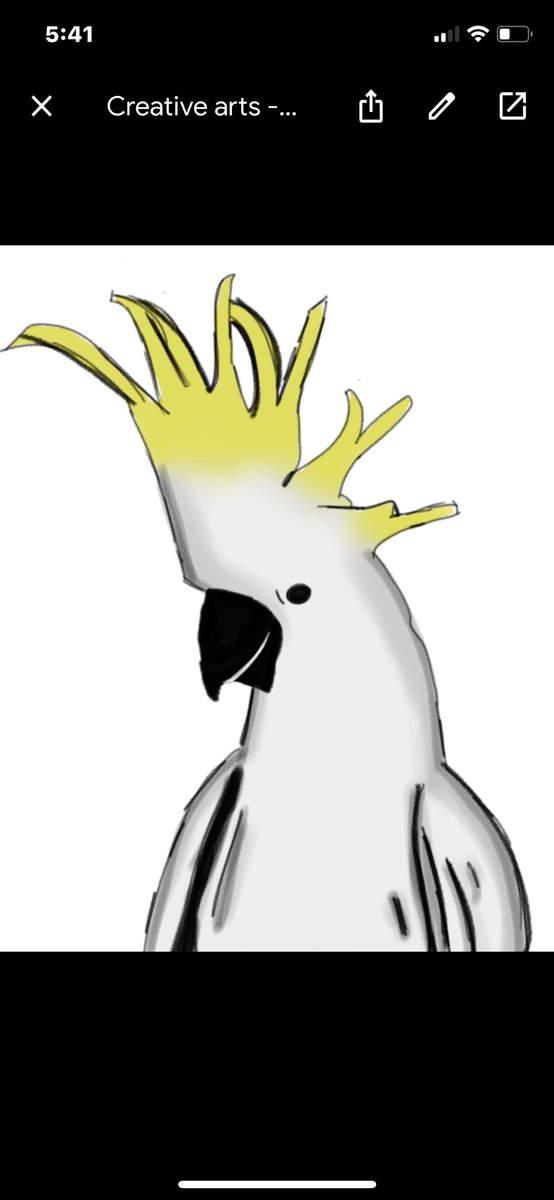 Kaylee Nolan tweet media