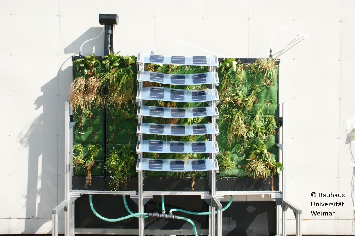 RE_Stadt's tweet image. Möglichkeiten der #Grauwasser-Aufbereitung und -Nutzung mit dem #Fassaden-Modul von RES:Z Projekt VertiKKA in einem Fernsehbeitrag bei @MDRum4:
➡️ardmediathek.de/video/mdr-um-4…