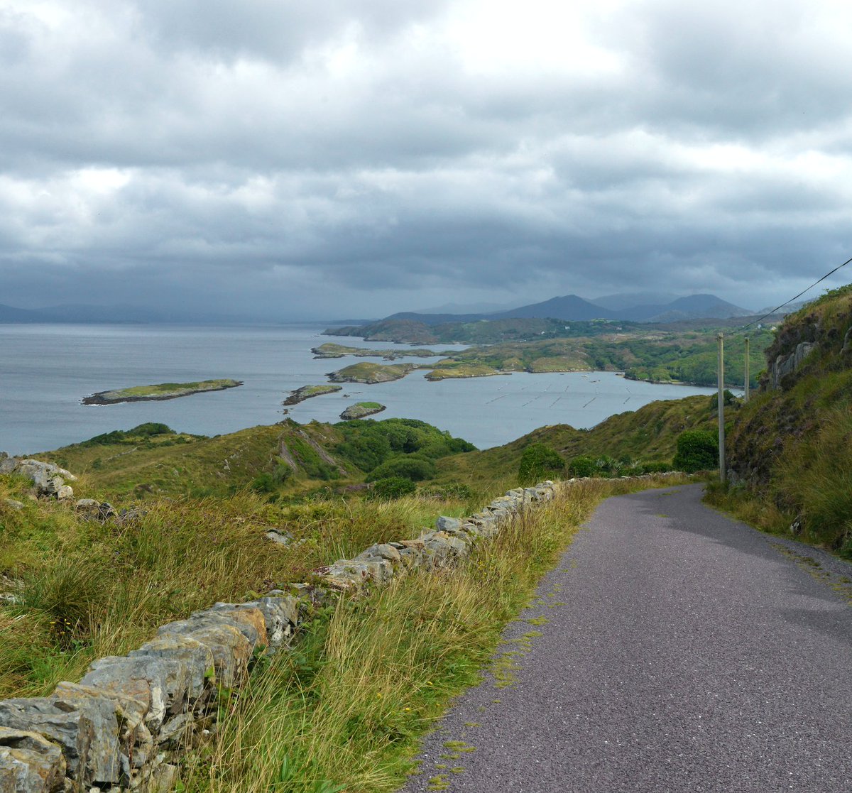 @poloconghaile tweet media