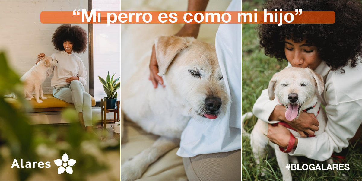 VivofacilGrupo's tweet photo. 🐶 La filosofía #PetFriendly viene pisando fuerte. Los perros son otro miembro más de la familia, pero... ¿Cómo conciliar con nuestras #mascotas y el #trabajo? Nosotros cuidamos de las familias, ¡peludos incluidos! ¿Y tú?

🔗 Aquí la solución: https://t.co/Npo3LTC8Vi

#BlogAlares https://t.co/b9CQADdE9i