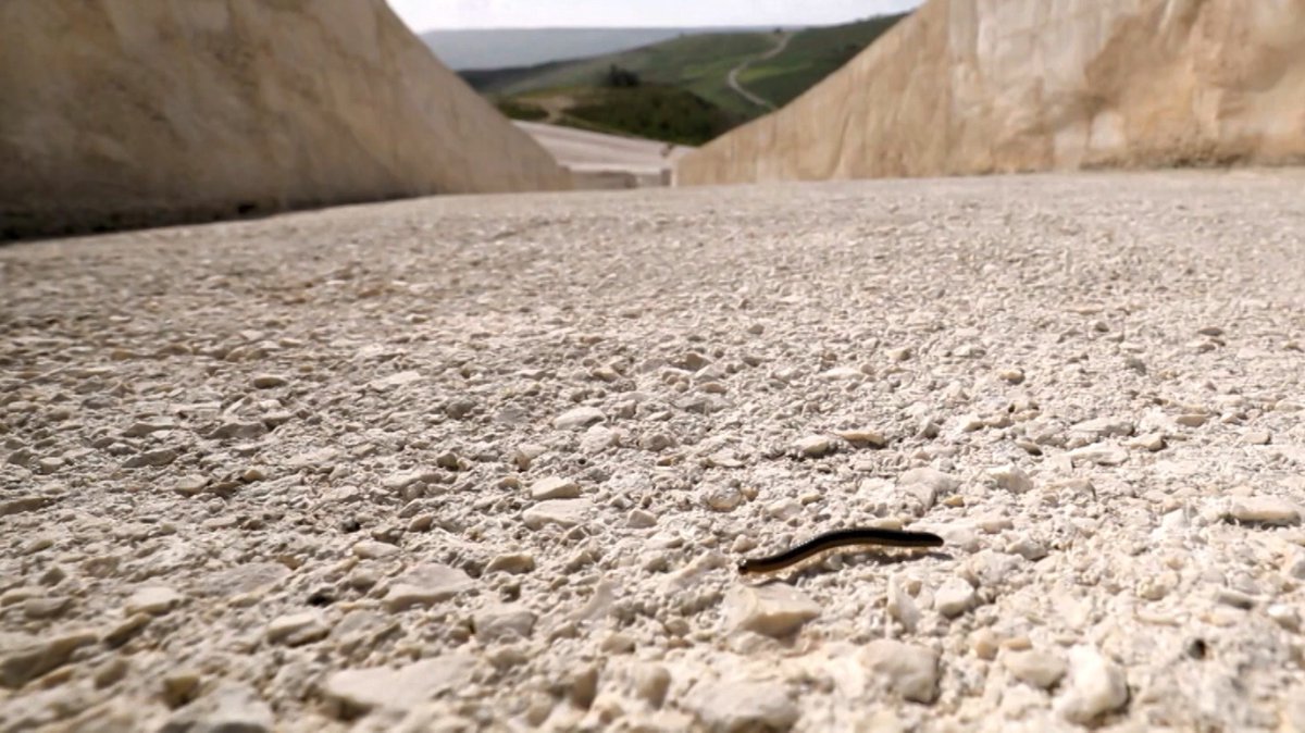 #Report alle 21.20 su <a href="/RaiTre/">Rai3</a>
Un filo nero collegherebbe la bomba alla stazione di Bologna del 2 agosto 1980 a quelle di Capaci e via D'Amelio. Nell'anniversario dell'attentato in cui fu ucciso Paolo Borsellino una puntata speciale su trattativa Stato-mafia e stragi del 1992-93