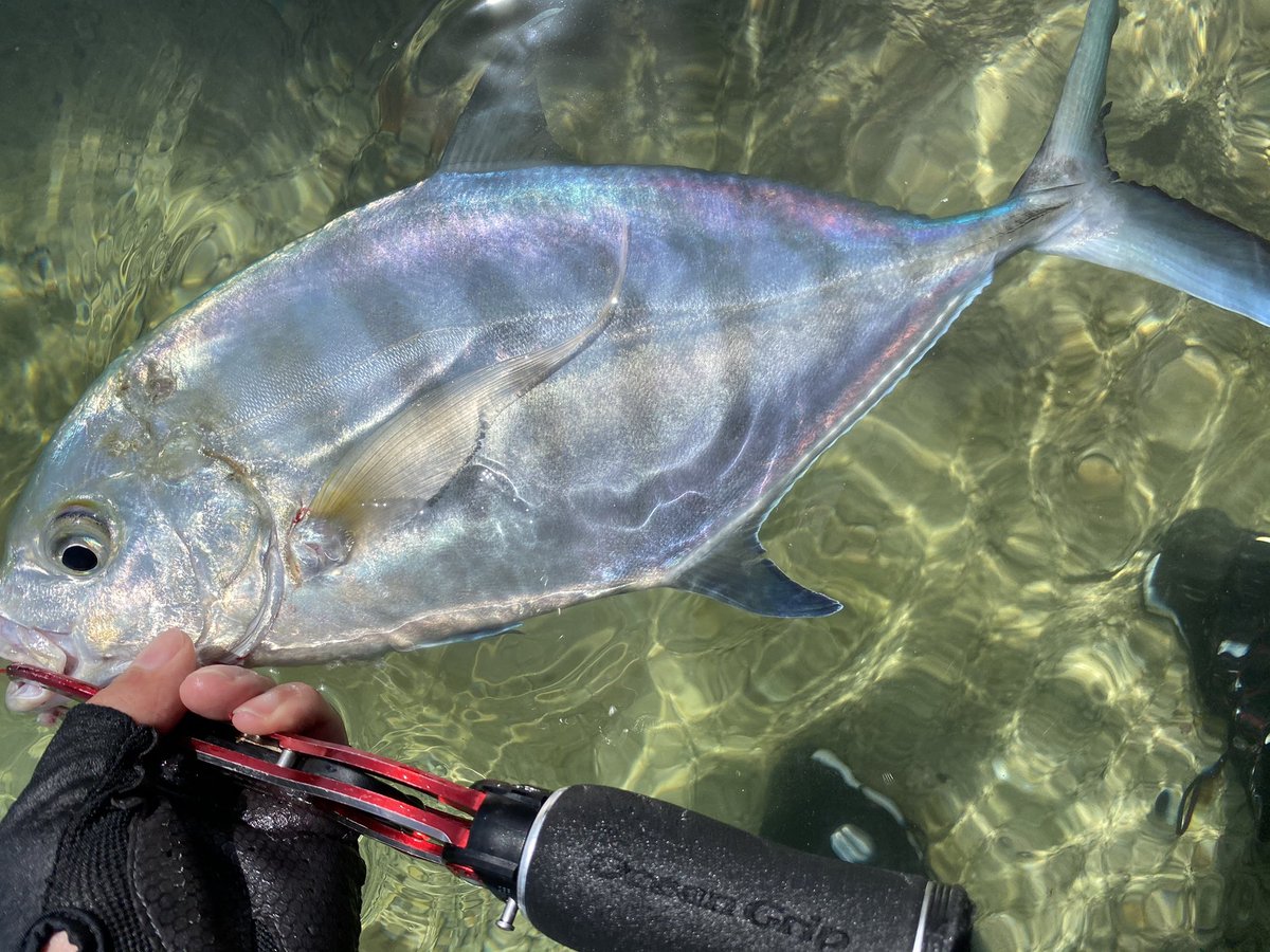 Mazikfishing Mazikfishing