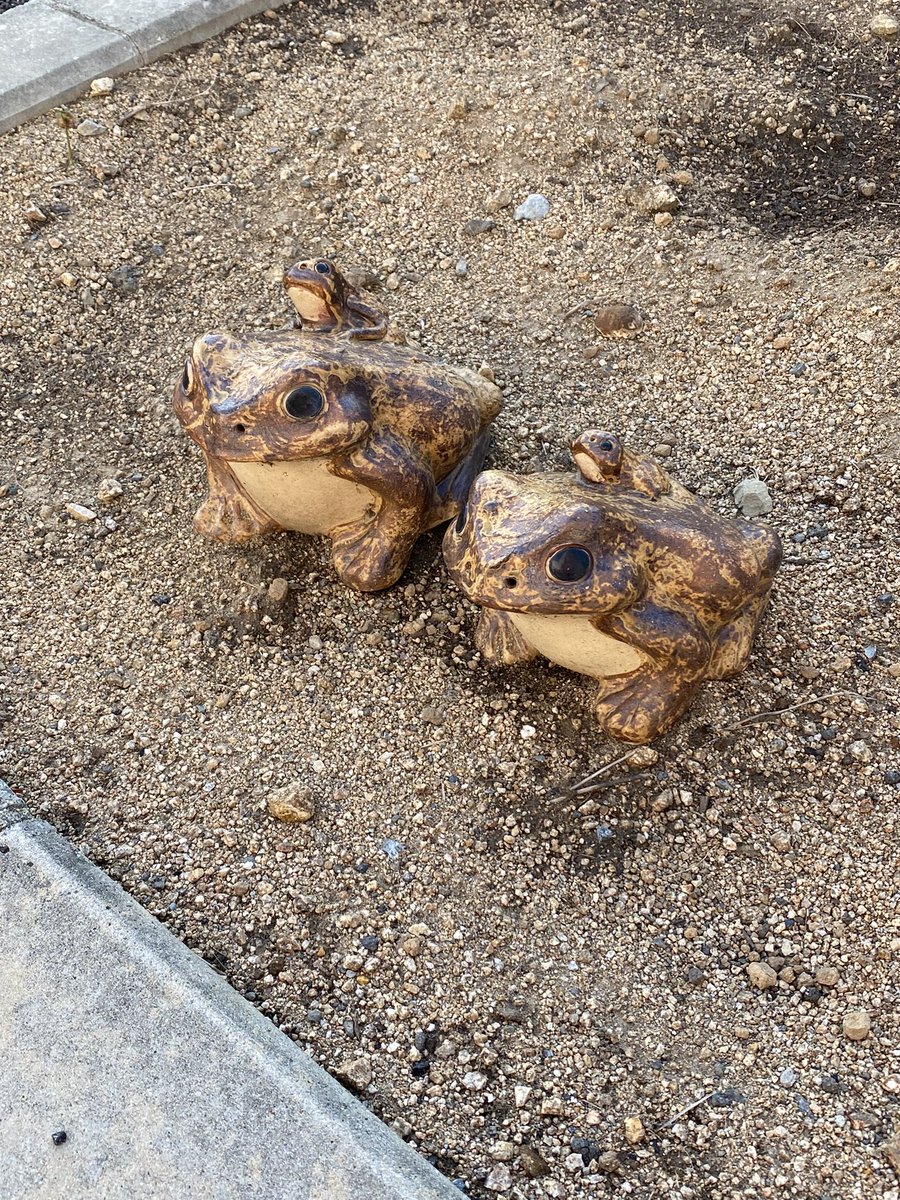 OAeCWYWhDIS1abh's tweet image. 一瞬、本物かとおもったやないかい❗️
ただのつくりものでした。