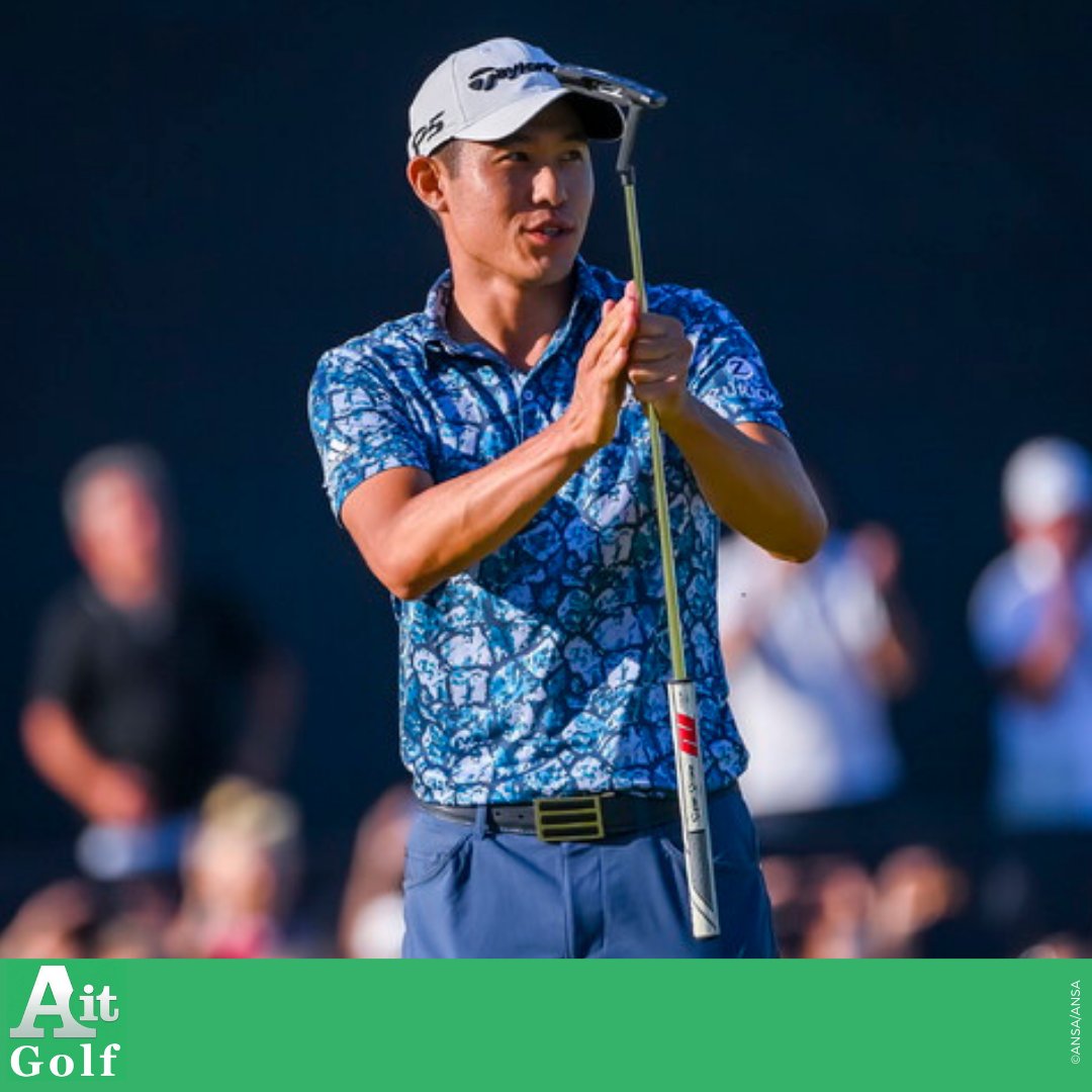 Ansa Golf tweet media