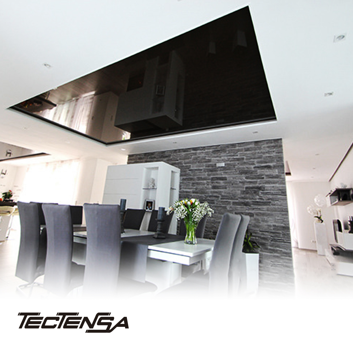 tectensa tweet picture