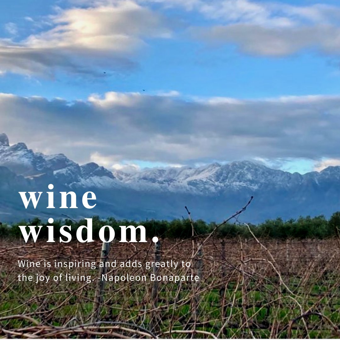 CapeWinemakersG's tweet photo. Tulbagh is shrouded in a winter wonderland while the vines are being pruned. How wonderful that wine can instill magic from its root to our glass!
@saronsbergcellar
#capewinemakersguild #tulbagh #saronsberg #capewinelands #discovertulbagh #capesnow https://t.co/BJFntoGezl