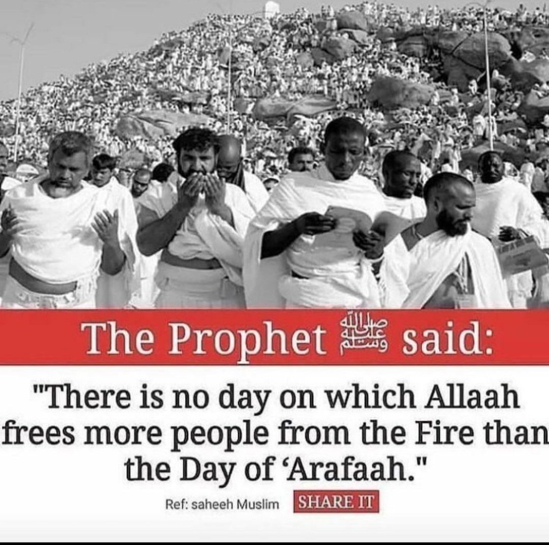 _imSoma's tweet photo. Make Du'aa for others,
so the Angels can make Du'aa for you. 🌸

#Arafah #Hajj1442 https://t.co/seoF1CB3su