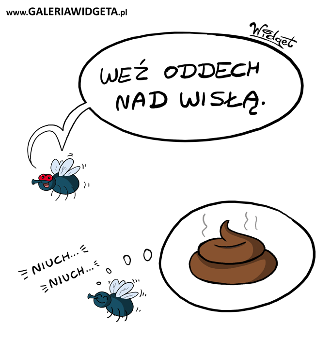 GaleriaWidgeta's tweet photo. #WeźOddechNadWisłą #Wisła #Warszawa #Czajka #smród #muchy #mucha #gówno #StolicaWolnegoCzasu https://t.co/WbWrGKhpjq