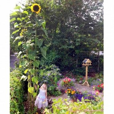 suttons_seeds's tweet photo. Enter Suttons Spring Bulbs #Competition Now! 🌷
https://t.co/3gewZxDSPK
5 lucky winners will win 58 new spring flowering bulb varieties!
#SuttonsSpringBulbComp #Giveaway #Springbulbs #CompetitionTime https://t.co/grSpyBkpyj