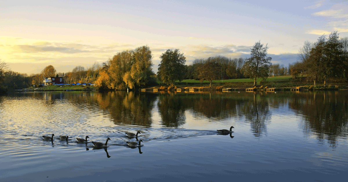 🏞️Parks and green spaces all contribute to our quality of life and enrich where we all live.
We want to hear your views to understand what you consider important to current and future provision for our parks and green spaces.
Help us shape your services at
smartsurvey.co.uk/s/RBCParksandG…