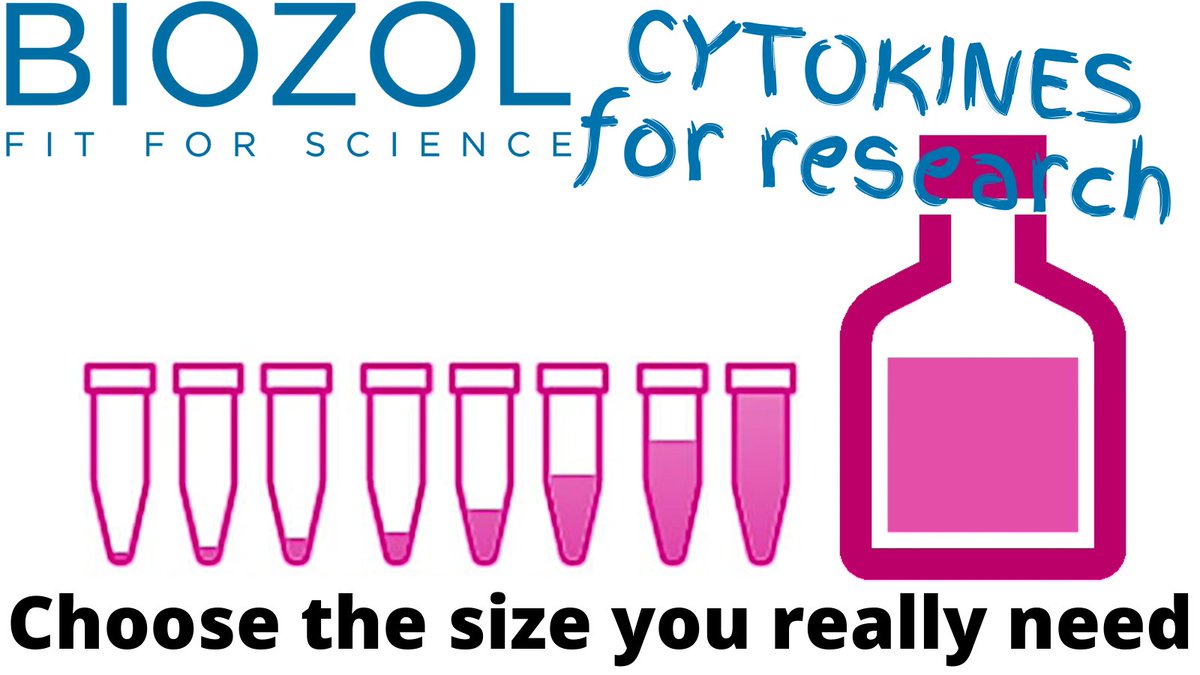 FROM 2 µg TO BULK SIZES
All cytokines from our partner @PeproTechare available in many sizes between 2 µg and 1 mg. Other quantities are available on request. Order exactly the quantity you need!
All RUO Cytokines are available at BIOZOL!

#cytokines #cytokinestorm #interferon